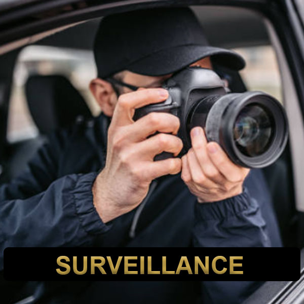 Private Investigator - Surveillance
